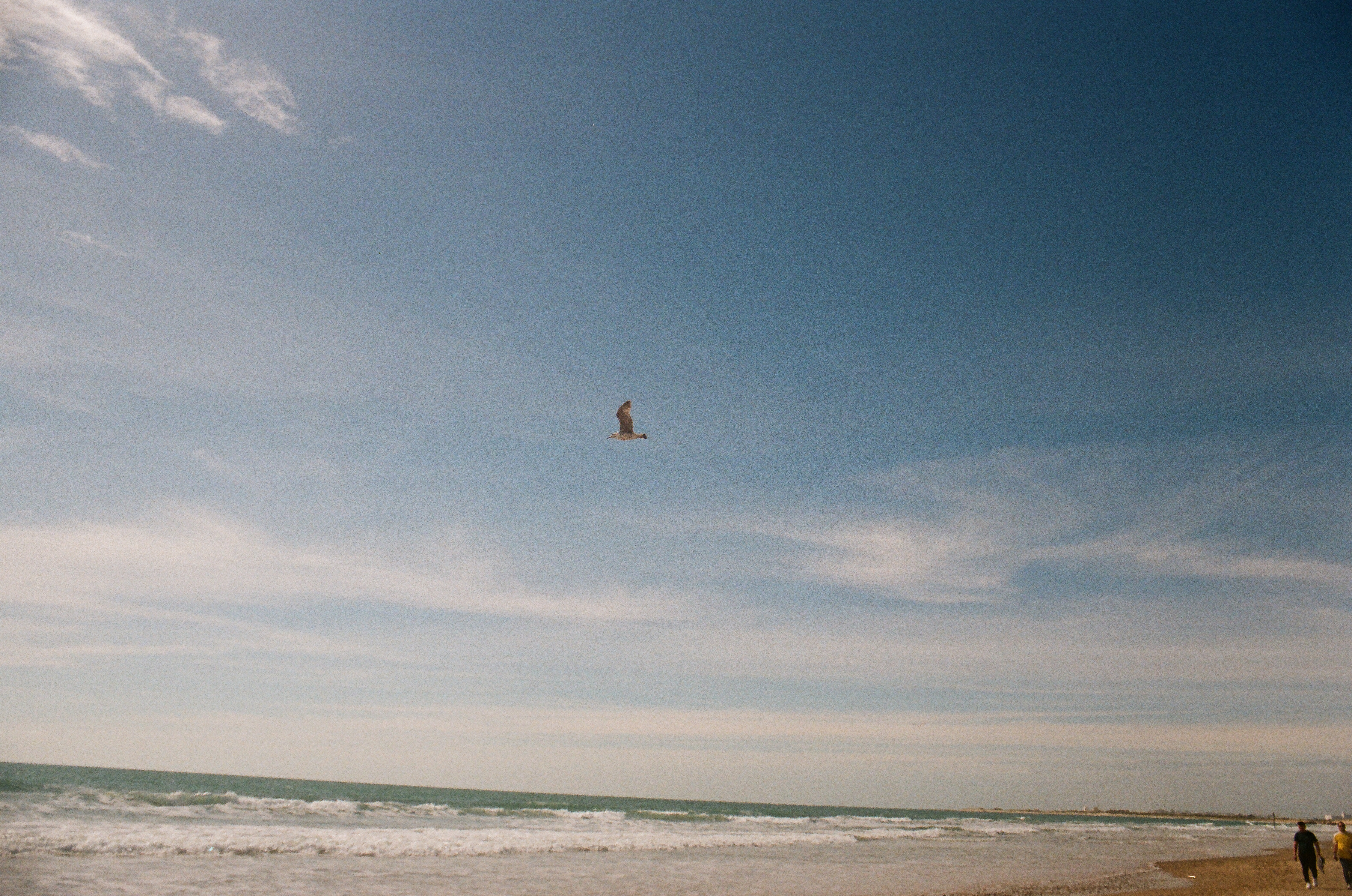 color-film - 28.JPG
